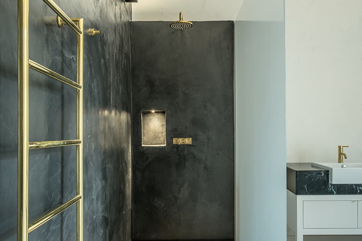 Walk-in shower and shower toilet